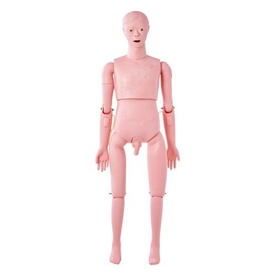Male Nursing Training System with Realistic Tissue Response and Durability