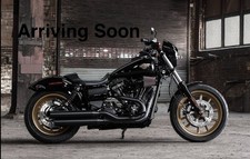 2016 Harley-Davidson Low Rider® S 