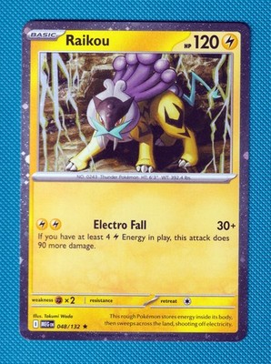 Raikou Cosmo Holo 048/132 USA Excl Pokémon TCG Mega Evolutions Promo Masterset 
