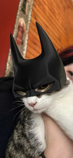 Bat-Cat Mask for Pets   Funny Batman Style Costume for Cat or Small Dog Fox