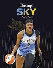 Chicago Sky, Paperback by Beattie, Charlie, Like New Used, Free shipping in t...