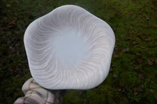 Royal Copenhagen Pink / Rosa Triton Konkylie Dinner Plate 14172 - 1st Quality