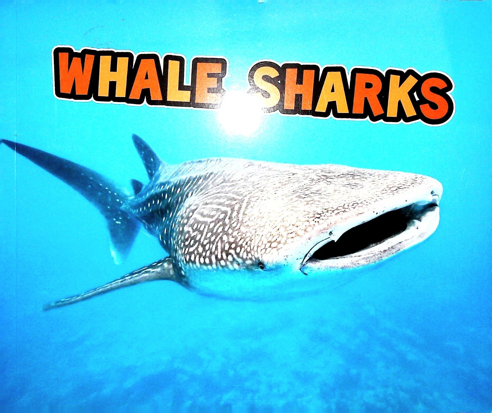 Whale Sharks Book for Children age 4-8 by Deborah Nuzzolo