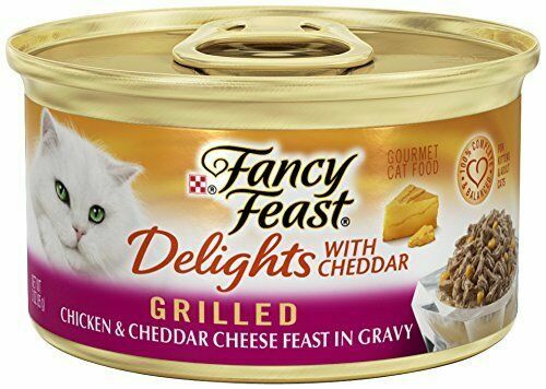 grilled cat food