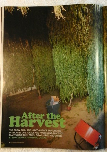 High Times Nov 2019 The Sports Issue NFL - Picture 7 of 12