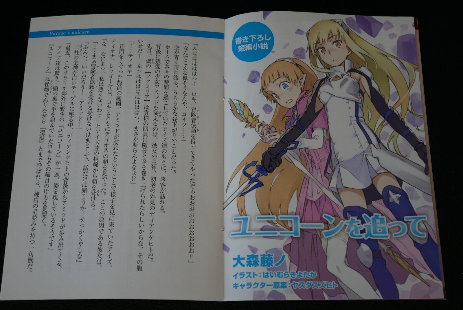 DanMachi / Sword Oratoria vol.7 Limited Edition Novel - JAPAN