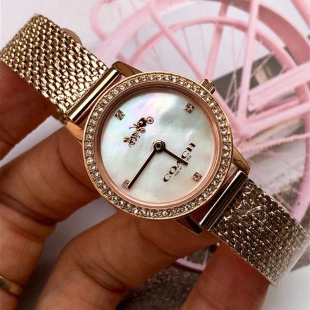 Orologio Coach 14503372