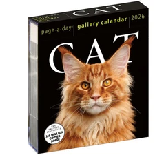 Workman Publishing,  Cat Gallery 2026 Desk Calendar, 6.25'' X 7.25'', Daily Cale