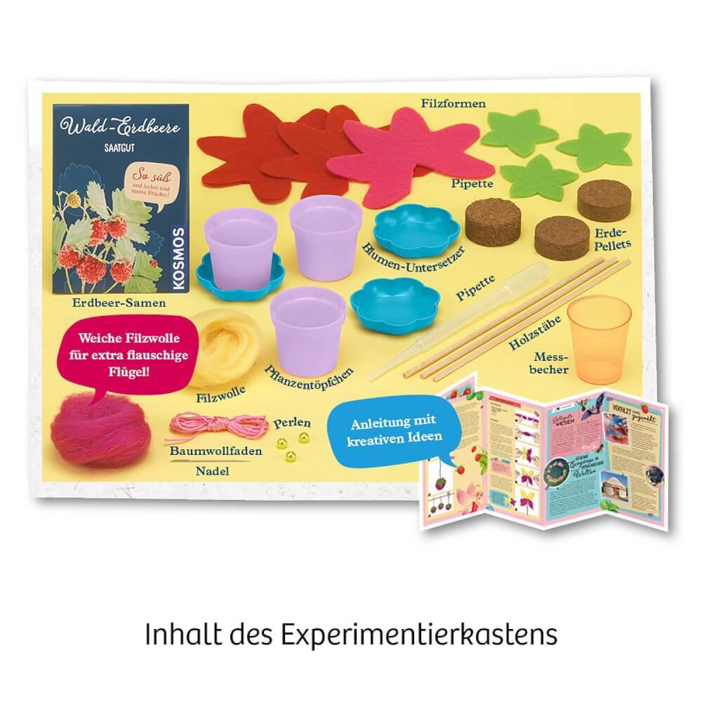 Thumbnail - Feen-erdbeeren