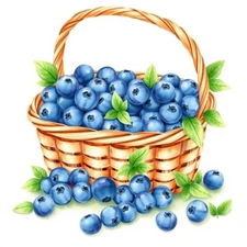 Digital picture painting of blueberries basket art printable file