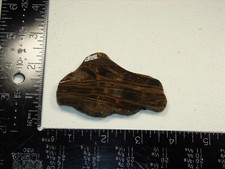 Hubbard Basin Petrified Wood Slab - 49g - Nevada - Old Collection / Old Material