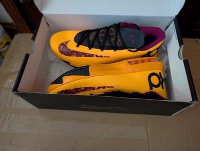 Size 13 - Nike KD 6 2026 Peanut Butter Jelly