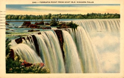 Terrapin Point View of American Falls, Niagara Falls Postcard
