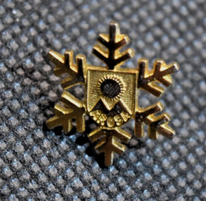 Arosa Ski Resort Switzerland Snowflake Ski Lapel Pin