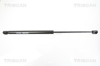 Gasfeder, Heckscheibe FÜR Ford Kuga I - Triscan 8710 16251