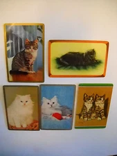 LOT of 5 CAT / kitten PLAYING CARD/SWAP bridge CARD VINTAGE used LITHOGRAPH art