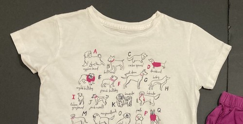 Girl's Crewcuts & Gymboree Outfit size 6 - Puppy Top w/Raspberry Shorts EUC - Picture 3 of 8