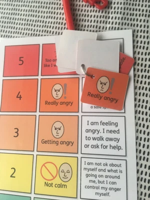Anger Thermometer 5 Point Scale Feelings | Grelly UK