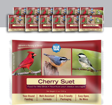 Cherry Suet Cakes for Wild Birds - No Mess Suet Feed, Food for Woodpeckers, Card