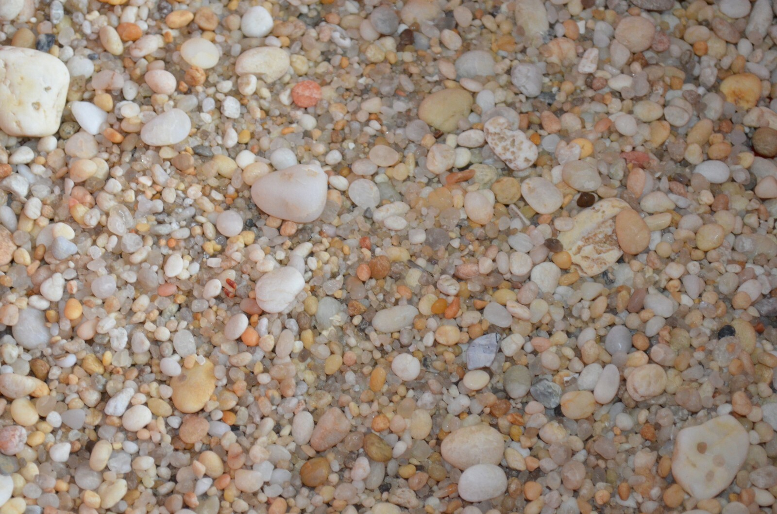 Bild 4 von 9