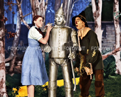 The WIZARD of OZ Photo Picture DOROTHY SCARECROW TIN MAN 8x10 11x14 16x20 (W17)