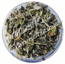 DAMIANA Leaf Cut/Sifted Organic Herb Fresh 10 lbs. 16.95/lb