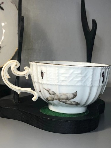 Meissen Porcelain Fruit, & Bugs Tea Cup & Saucer 1740 - Picture 10 of 18