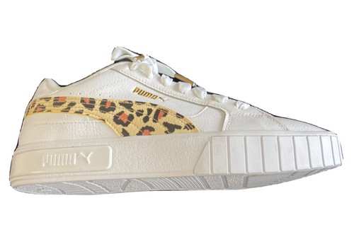 brown sable havanese