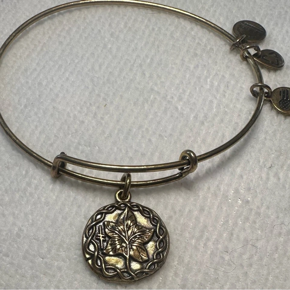 ✨ Trío Pulsera Alex and Ani - Árbol de la Vida, Símbolo Om y Diseño Pluma ✨ Foto 3 de 4