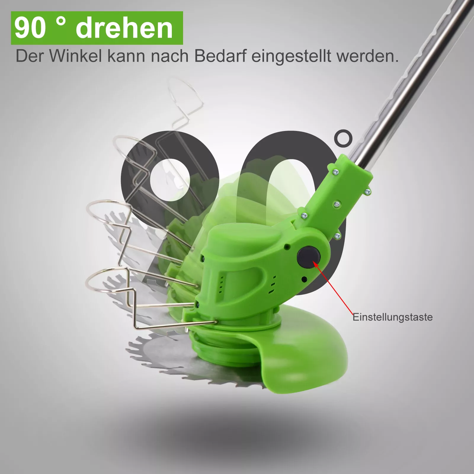 Bild 3 von 12