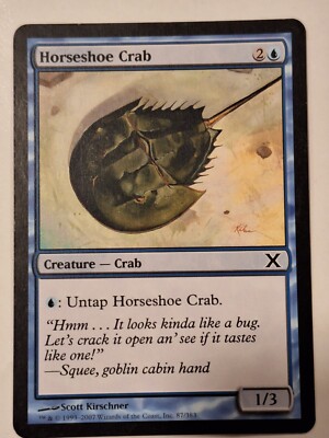 Horned Turtle - 10th Edition Core Set - Magic the Gathering MTG Nice!