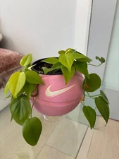 Mini Pink Nike Basketball Planter - includes 5 inch pot (with clear stand)