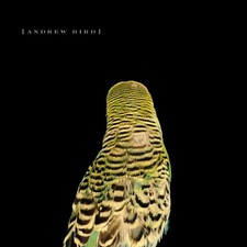 Andrew Bird Armchair Apocrypha (CD)