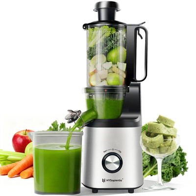 HYSapientia Cold Press Juicer Machines with Fruit Puree & Gelato Function,