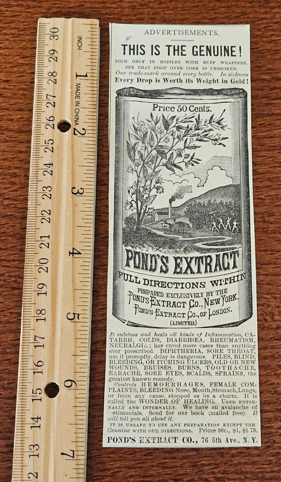 Harper's Weekly 1884 Advertisement PONDS EXTRACT CO NEW YORK LONDON