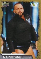 2022 Upper Deck AEW Gold and Silver  Pick Your Card Complete Your Set WWE NXT