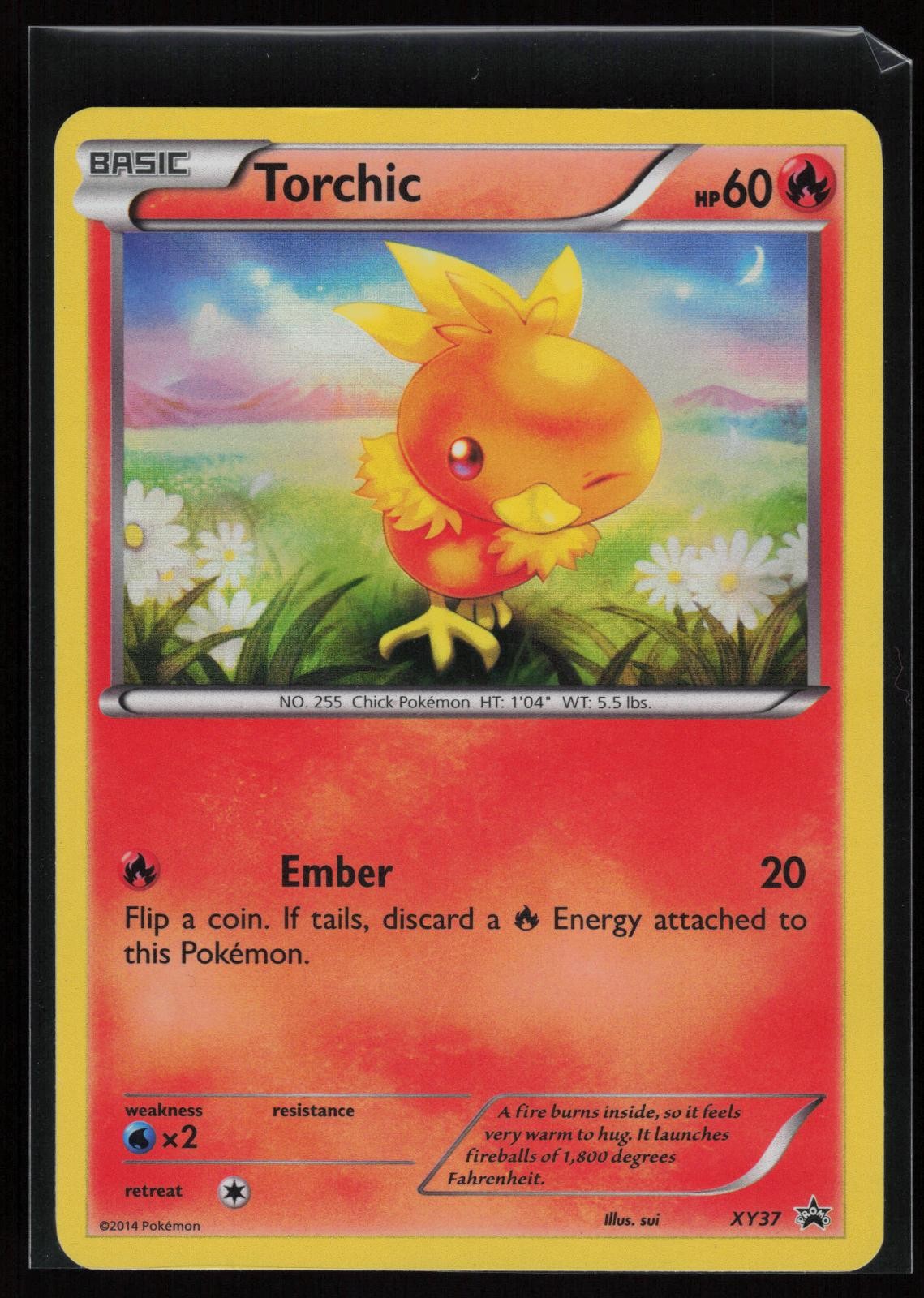 Torchic XY37 Holo Promo XY Promo Pokemon Holo LP