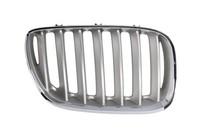 Blic 6502-07-0095998P Attrappe Gitter Rechts FüR BMW X5 E53