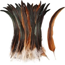 Rooster Tail Feathers 50pcs 10-12inch Long Rooster Coque Tail Feathers Natural