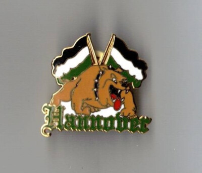 Hannover Pin ''HANNOVER'' Kutte Weste NEU Badge Anstecker kein Aufnäher Sammler