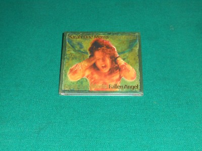 Sarah Jane Morris - Fallen Angel