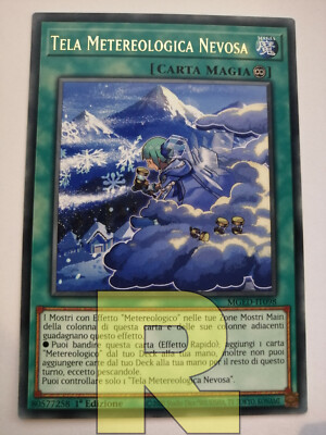 Nevosa   Rare Gold   MGED-IT098   Italian Weather Canvas 