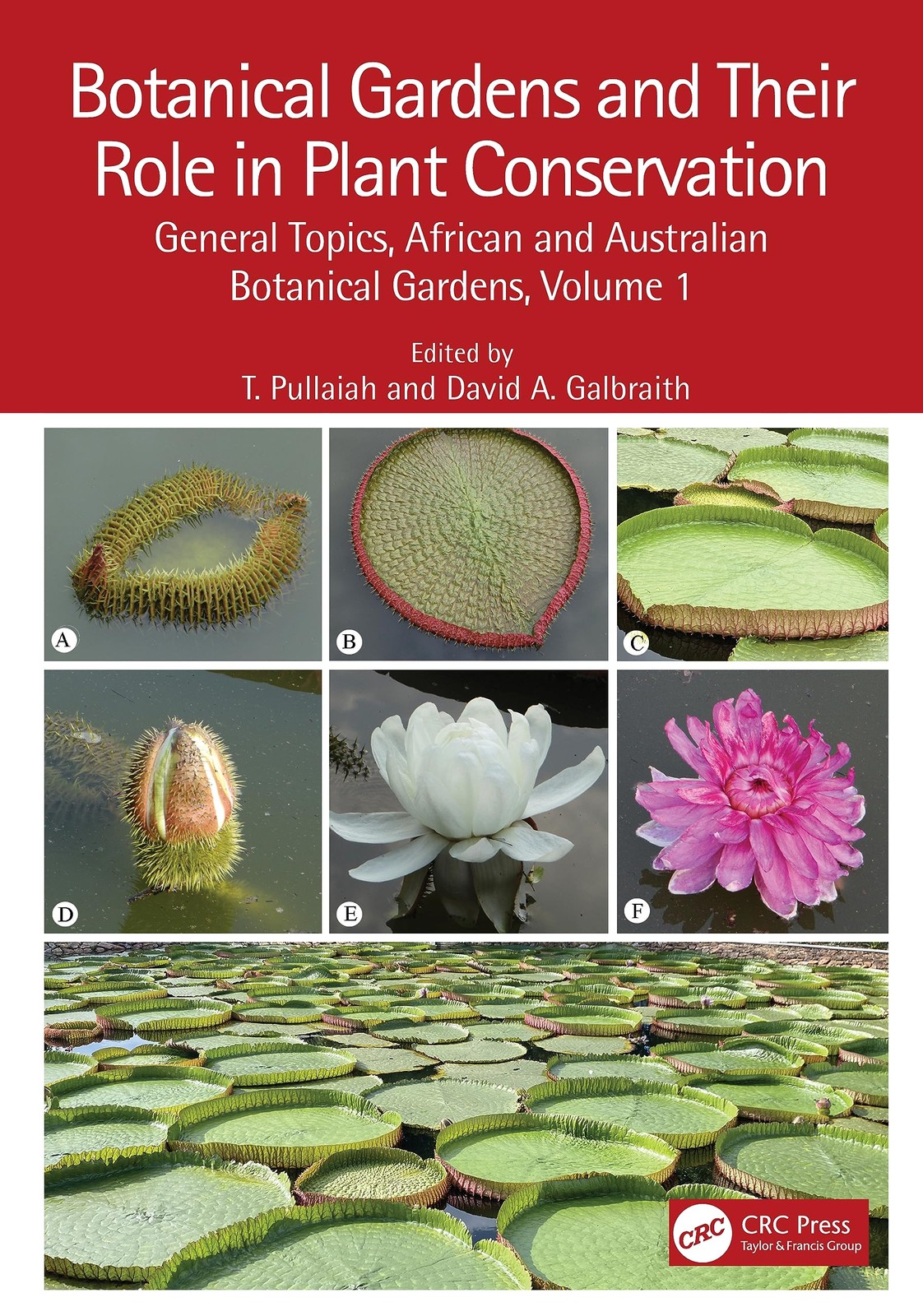 Botanical Gardens and Their Role in Plant Conservation: General Topics, African