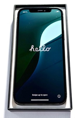 Apple iPhone 12 Pro - 256GB - Graphit (Ohne Simlock) (Dual-SIM)