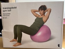 Pink Gym Ball 65 Cm + Pump