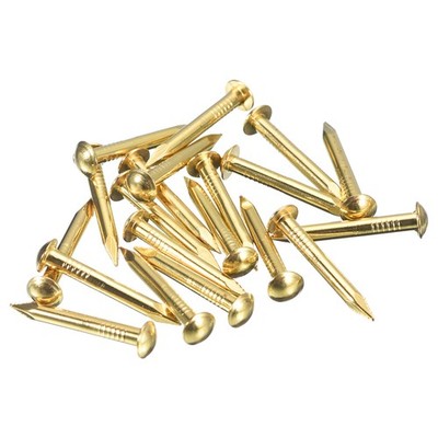 40 Pcs Small Tiny Nails 2.8x25mm(DxL) Tiny Brass Nails Small Nail, Brass Tone