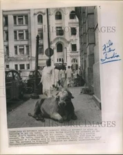 1962 Press Photo bull blocking sidewalk traffic in Calcutta's business district