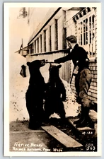 Postcard RPPC, Native Bears, Rainier National Park Washington Unposted