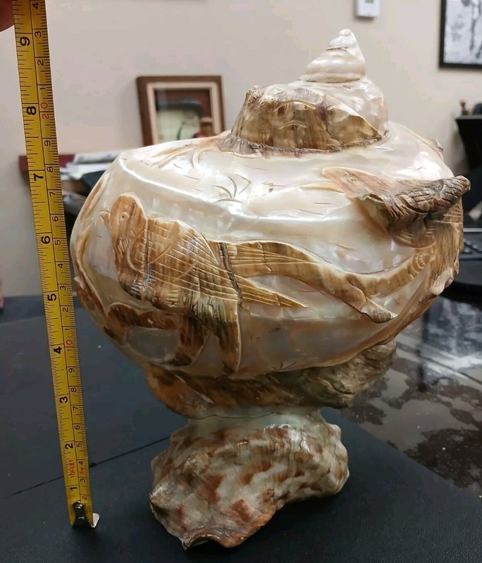 Vintage large Turbo Marmoratus green turban carved bird sea shell seashell 