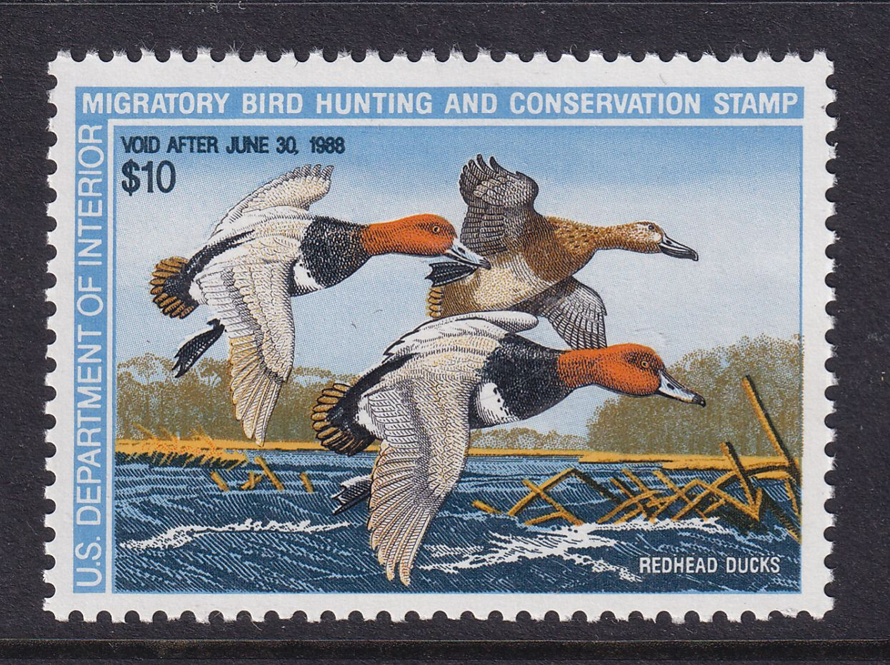 1987 Federal Duck Stamp $10 Sc RW54 MNH single stamp Redhead Ducks